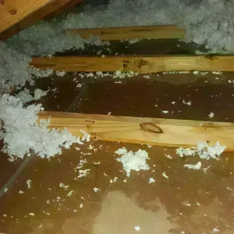 Attic Water Damage in East Porterville, CA